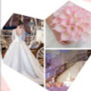 Meet your Posher, Elfreda